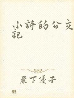 小诗的公交车日记封面