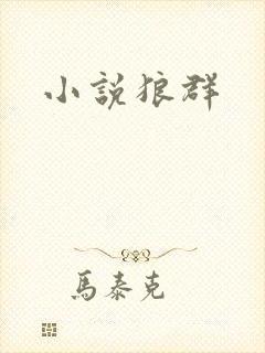 小说狼群封面