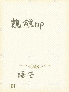 觊觎np