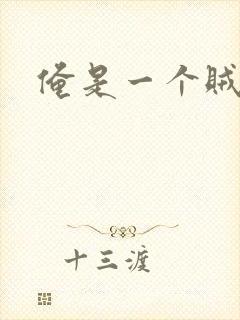 俺是一个贼