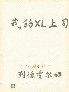 我的XL上司