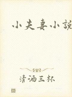 小夫妻小说