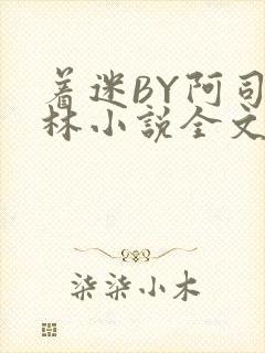 着迷BY阿司匹林小说全文免费阅读