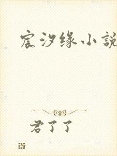 宸汐缘小说
