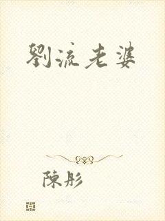 刘流老婆