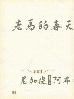 老马的春天敏静