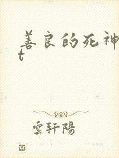 善良的死神txt