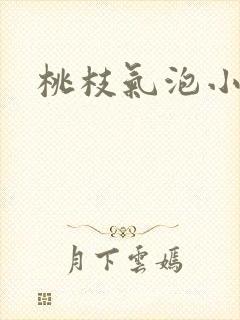 桃枝气泡小说