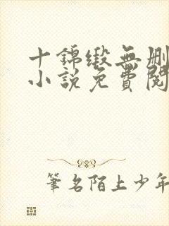 十锦缎无删原著小说免费阅读