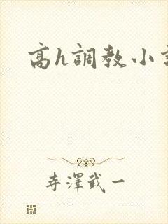 高h调教小说