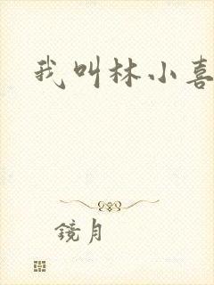 我叫林小喜17