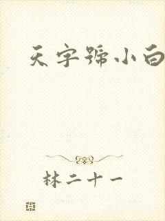 天字号小白脸封面