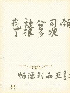 我被公司领导C了很多次封面