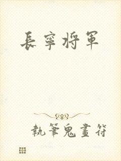 长宁将军封面