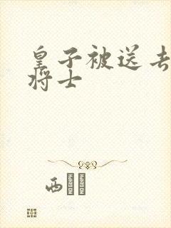 皇子被送去犒劳将士