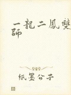 一龙二凤双飞老师