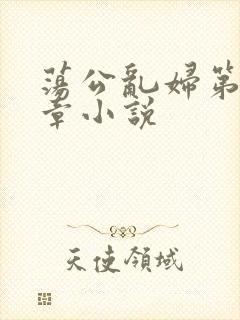 荡公乱妇第51章小说