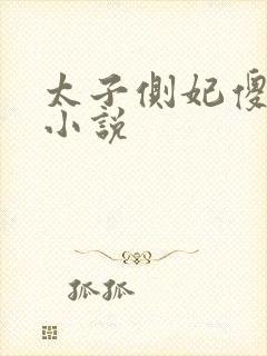 太子侧妃傻乎乎小说
