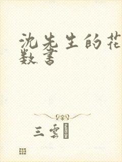 沈先生的花式调数书封面