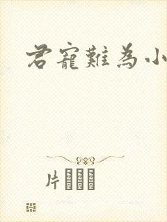 君宠难为小说