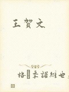 王贺文封面