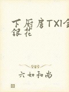 下厨房TXl金银花
