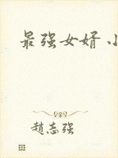 最强女婿 小说