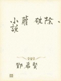 小萝 破除 小说