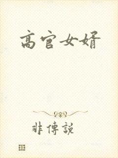 高官女婿