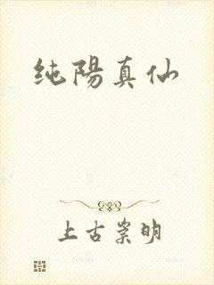 纯阳真仙封面
