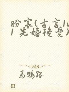 盼寡(古言1v1 先婚后爱)