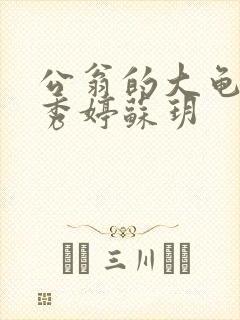 公翁的大龟挺进秀婷苏玥封面