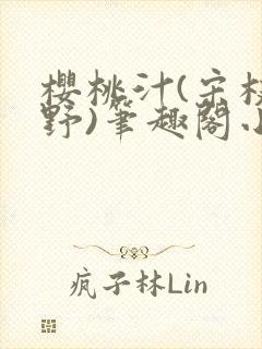樱桃汁(宋枝江野)笔趣阁小说