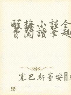 酸梅小说全文免费阅读笔趣阁