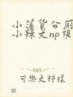 小荡货公厕h文小辣文np视频