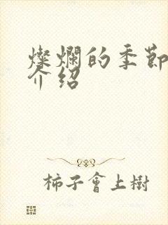 灿烂的季节剧情介绍