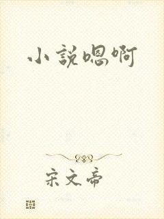 小说嗯啊