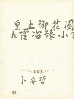 皇上御花园hlh霍冶臻小说