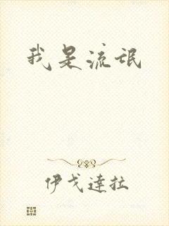 我是流氓封面