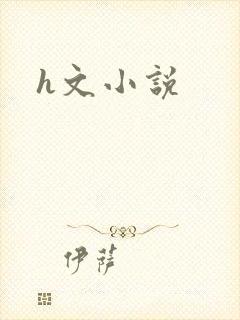 h文小说