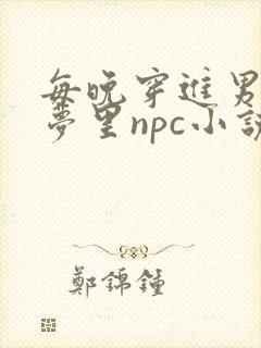 每晚穿进男神的梦里npc小说封面