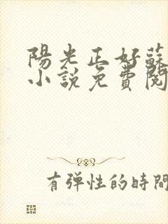 阳光正好苏玥玥小说免费阅读无弹窗