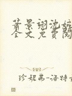 萧景翊沈婉小说全文免费阅读封面