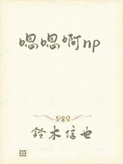 嗯嗯啊np