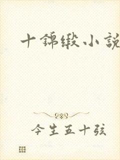 十锦缎小说封面