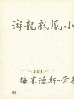 游龙戏凤小说封面