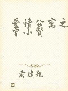 爱情公寓之极品曾小贤封面