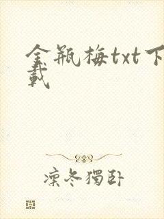 金瓶梅txt下载