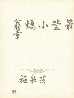 翁熄小莹最新节章