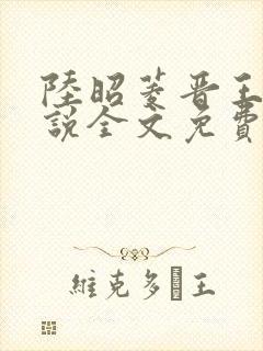 陆昭菱晋王的小说全文免费阅读